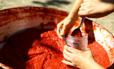 Kapağından kavanozuna her detayı hayati Buzlukta dondurulur mu Üstüne koyulan zeytinyağ salçayı korur mu Küflenirse atılmalı mı