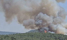 İzmirde orman yangını: Havadan ve karadan müdahale ediliyor