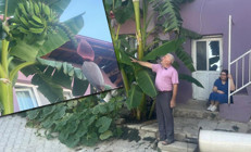 Askerlik arkadaşı getirdi geçim kaynağı oldu Boşuna uğraşıyorsun dediler imkansızı başardı