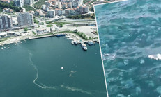 Marmara Denizi’nin yüzeyini kaplayan tehlike: Vatandaşın cebini yakacak | Sıkıntılı günler bizi bekliyor