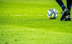 Irkçılık sahalara indi