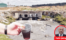 İşte seri cinayetin takvimi