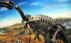 Yeni bir dinozor türü keşfedildi