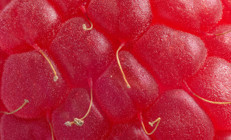 Neredeyse sıfır şeker Kalp hastalığından insüline iyi gelmediği şey yok... İşte her hafta mutlaka tüketmeniz gereken beş süper meyve