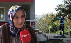 Bölgedeki birçok kentte evleri istila etti, kokusundan durulmuyor... Uzmanlar uyardı: Sakın elinizi sürmeyin | Bütün gün yemek yiyemedim