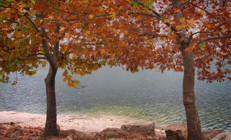 Fırat Nehri kıyısında tabloları aratmayan sonbahar manzarası