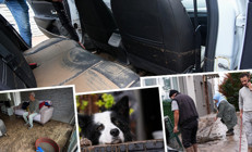 Şiddetli sağanakla vatandaşlar kabusu yaşadı Yollar göle döndü, ev ve iş yerlerini su bastı