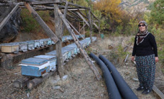 Bölgede sıcaklık 30 derecenin üzerinde Kışlama için gelmiyorlar | Bu yıl ilk kez gördüm, gerçekleşmezse kayıplar artacak