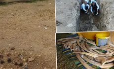 Yıllar sonra gömüldüğü yerden çıkarıldı Binlerce kemik birleştirilmeye başlandı: Bu kadar büyüğünü ilk kez yapıyoruz