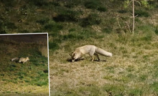 Gece saatlerinde şehir merkezine indiler Kimseye aldırmadan dolaştılar