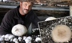 Memleketine döndü devlet desteği aldı: 6 çadır kurdu üretime geçti Gelen taleplere yetişemez oldum