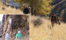 Özel izin alarak bölgeye geldiler: Sadece 4 gün süreleri var Bedava toplayıp 6 bin liraya satıyorlar