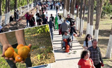 Ücretsiz dağıtıldığını duyan geldi Hem yiyoruz hem de stres atıyoruz