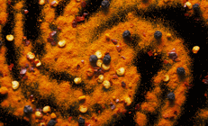 Zerdeçal ve karabiberi birlikte kullanın Bağışıklığınızı güçlendiren 10 önemli öneri