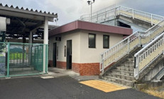 Gece yarısı dehşeti yaşadı: Tuvalette ayı saldırdı