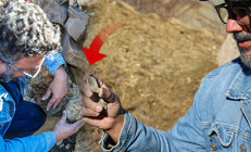 Bölge halkı yıllardır sıradan bir taş zannediyordu Bingölde büyük keşif: 50 milyon yıllık oldukları değerlendiriliyor