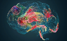 Bilim insanlarından önemli keşif: Bu dört yaş beynimiz için çok kritik Bir bulgu uzmanları bile şaşırttı