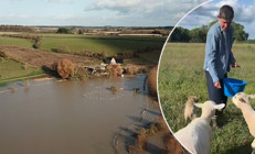 Ünlü sunucunun doğal yaşam hevesi kabusa döndü... Büyük rüya sele kapıldı... Milyonlar uçtu gitti