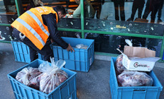 Gıda güvenliği umurlarında değil Otogarda pes dedirten manzara: Otobüsün bagajında getirdiler