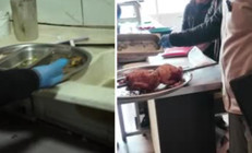 Tavuk dönercide iğrenç görüntüler Zabıta dayanamadı: Leş gibi kokuyor