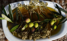 Oleolog Dr. Kıvrak: Erken ve olgun hasat zeytinyağları farklı içeriklere sahiptir