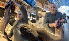 Atlas Okyanusundan Akdenize geldi: 1.5 metre boyunda, 25 kilogram ağırlığında Özel bir balık olduğu için satışa çıkarmıyoruz