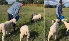 ‘Bıktım tavuk peşinde koşmaktan’ diyordu… Ünlü sunucunun çiftlik macerası çabuk bitti, malikane hayatına geri döndü