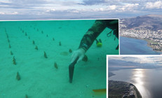 Çanakkale Boğazı santim santim ölçülüyor: Bir yıl içinde 30 santimetreye ulaştı Adeta birer mezarlığa dönüştüğünü gördük