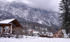 Avusturyada peş peşe çığ felaketleri: 13 kişi hayatını kaybetti