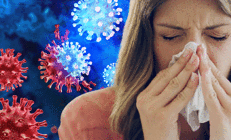 Bilim insanlarından çok ilginç deney Grip hastalarını sağlıklı yetişkinlerle birlikte bir otel odasına kilitlediler ve sonuçlar herkesi şaşkına çevirdi