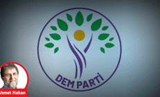 Bir şaşkınlığın partisi: DEM