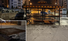 Şiddetli rüzgar, kamelyayı yerinden söktü