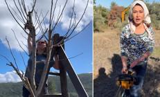 İzmirin bir köyünde ev yaptırmıştı... Dün pancar tarlasındaydı, bugün ağaç tepesinde... Sanki yılların çiftlik sahibi