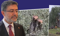 Bakan Yumaklıdan CHPlilere ağaç tepkisi