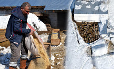 Doğup büyüdüğü mahallesine döndü: 4 yılda hayatı değişti Tüm zorluklara rağmen seviyorum