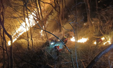 Güney Korede orman yangınları kontrolden çıktı: 3 günde 190 hektar küle döndü