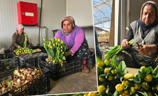 Ne toprak var ne gübre: Su kullanılarak yapılıyor 1 ay sonra hazır oluyor | Türkiyede bu işin başka bir örneği yok