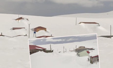 Havaların ısınmasıyla görülmeye başlandı: 3 metre karın altından çıktı