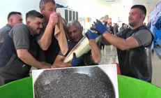 8 bin adedi Karadenize bırakılacak: Çiple takip edecekler Kilosu 2 bin dolardan satılıyor