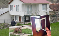 Yaylalardan sonra köylere indiler: Çocuklarını korumak için nöbet tutuyorlar Balkona çıktığımda karşı karşıya kaldım