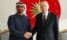 Cumhurbaşkanı Erdoğan, BAE Devlet Başkanı ile görüştü