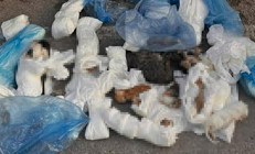 İzmirdeki vahşet 33 kedi ölü bulunmuştu... Yeniden gözaltına alınan veteriner hekim tutuklandı