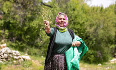 Mersinde atalık tohumlar toprakla buluşuyor