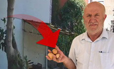 Delil var ama polise gidemiyoruz | Sürekli aynısı oluyordu: Kamera kurunca hayrete düştü
