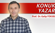 Tercih sürecinde aileler ne yapmalı