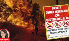 Orman yangınlarını nasıl önleyeceğiz