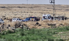 Diyarbakırda arazide kadın cesedi bulundu: Olayla ilgili 2 kişi gözaltında