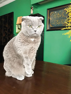 Uygun yerlerine kum monte edecekmiş