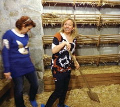 /images/100/0x0/55ea695df018fbb8f87e2ce7