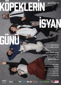Uluslararası basında adından övgüyle söz ettiren “Köpeklerin İsyan Günü”